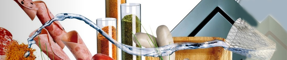 1.3 Unternehmensgruppe